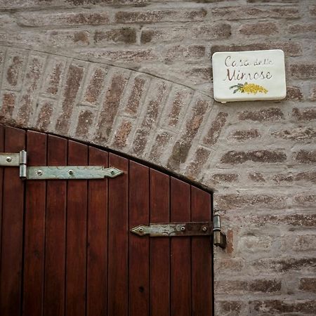 Accademia Al Colle Apartman Bologna Kültér fotó